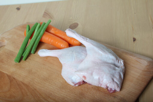 Duck Leg