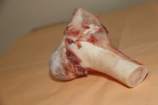 Whole Veal Marrow Bones